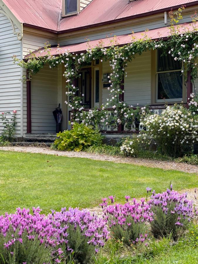 Bed and Breakfast Cambridge House Breakfast & Bed Geeveston Екстер'єр фото