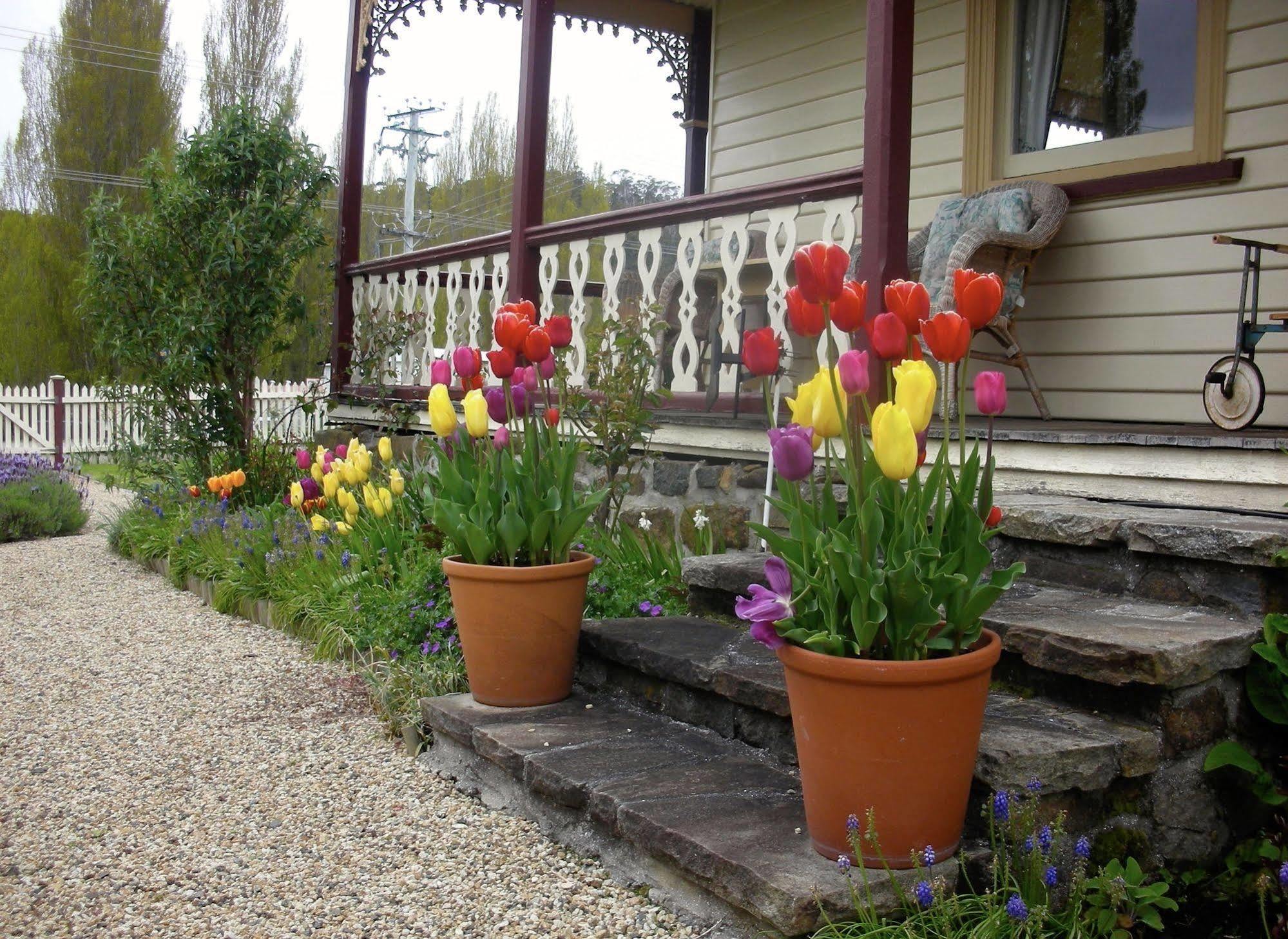 Bed and Breakfast Cambridge House Breakfast & Bed Geeveston Екстер'єр фото